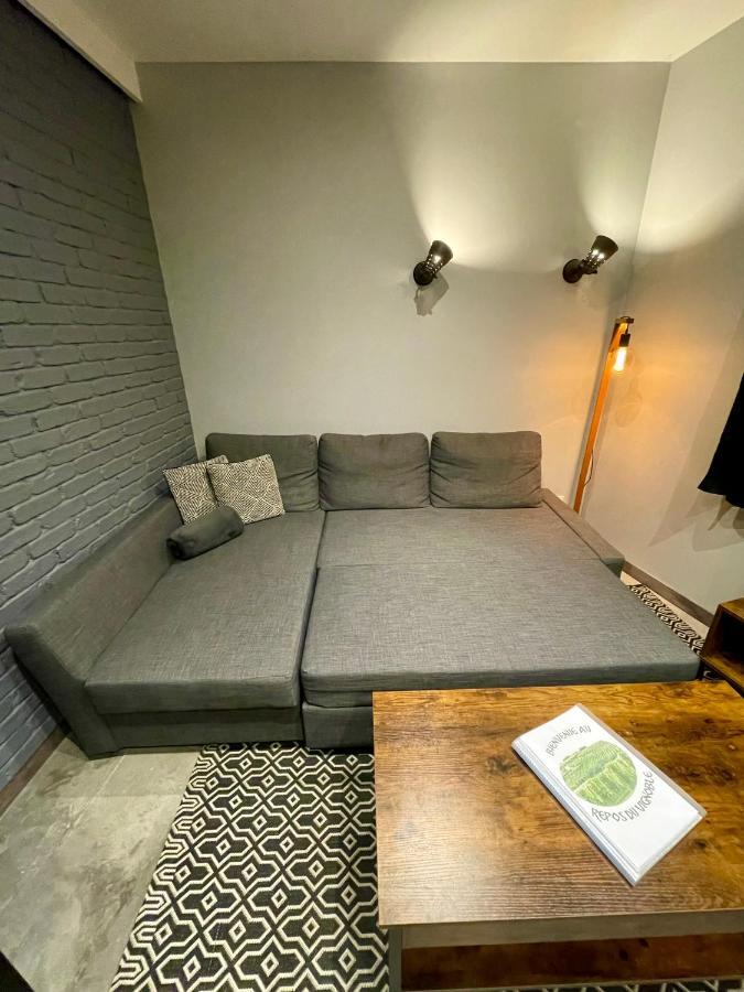 Le Repos Du Vignoble Apartment Ribeauvillé Екстериор снимка