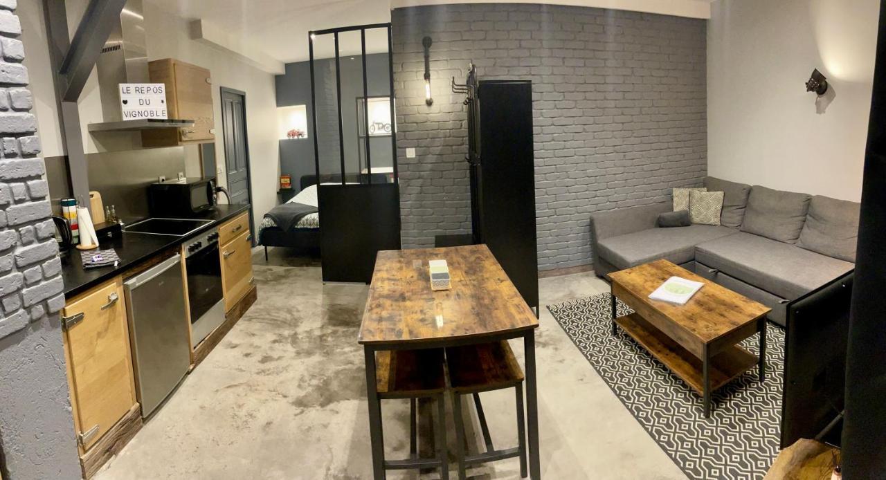Le Repos Du Vignoble Apartment Ribeauvillé Екстериор снимка